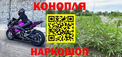 индика Тара
