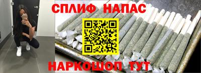 индика Тара