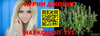индика Тара